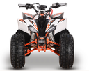 Brand New Kayo Predator 125 EFI