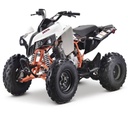 Brand New Kayo Jackal 200