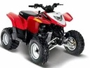 2010 Polaris Phoenix 200