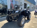 2007 Suzuki Vinson 500 4x4