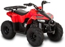 Brand New Tao MudHawk 6