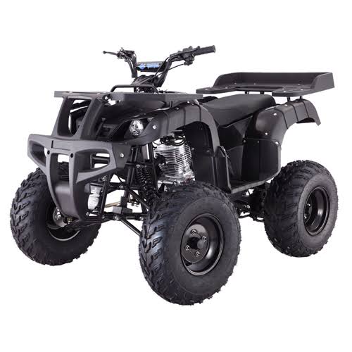 Brand New Tao T-Force 125