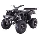 Brand New Tao T-Force 125