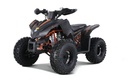 Brand New Tao TrailHawk 10