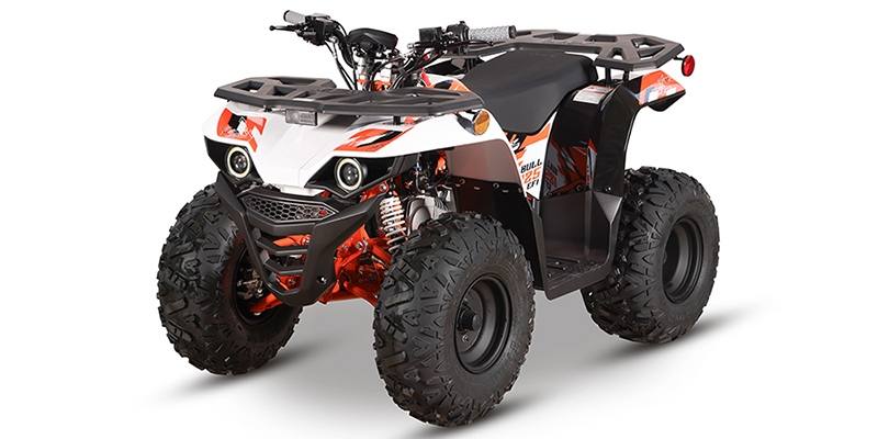 2021 Brand New Kayo Bull 125 EFI Youth ATV